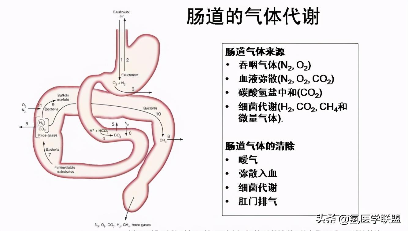 最新款氫氣機，重塑能源格局的革新力量，引領(lǐng)未來能源革命