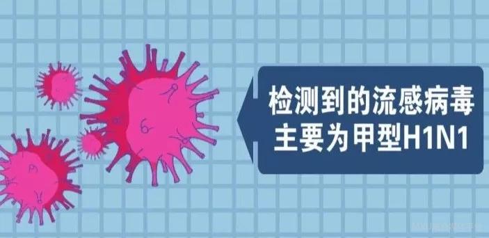 最新流感疫苗死亡事件，事實(shí)與應(yīng)對策略解讀