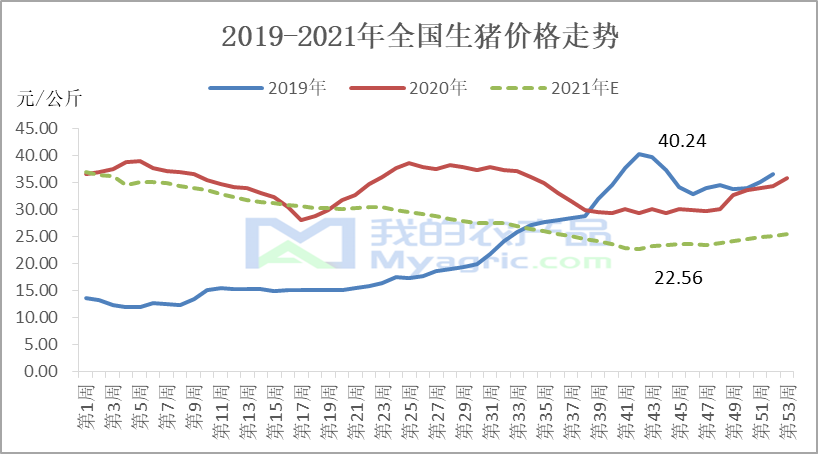 最新豬價行情分析與趨勢預(yù)測