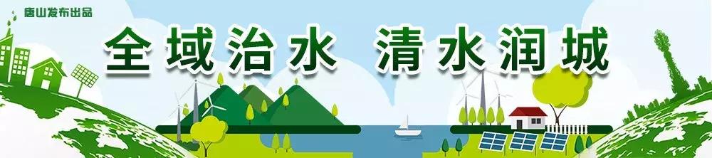 唐山最新招聘動態(tài)與求職指南