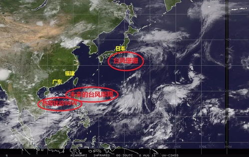 廣西最新臺風動態(tài)及全方位應對保障安全措施