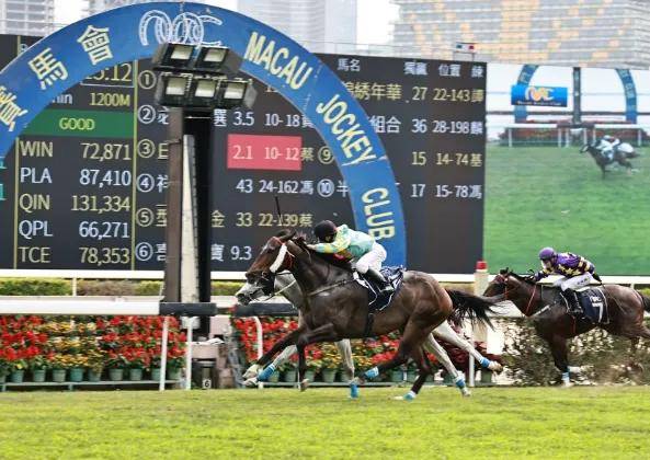 新澳門今晚開特馬結(jié)果｜精選解析落實策略