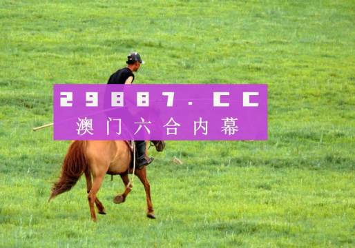 2024新澳門彩生肖走勢,快速設(shè)計(jì)解析問題_Executive89.605