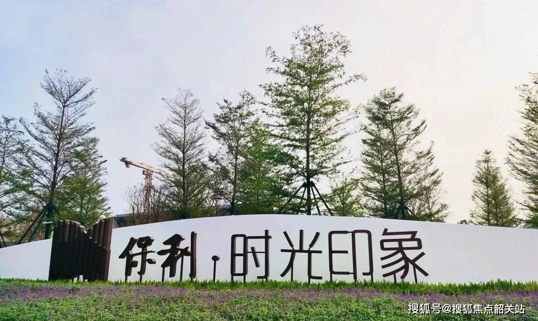 保利時光印象最新價格深度解析及市場洞察報告