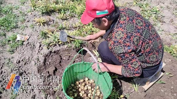 貝農(nóng)最新圖片，揭開全新世界的神秘面紗