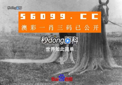 一肖一碼一必中一肖,全面評(píng)估解析說明_XR35.344