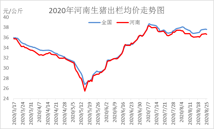 河南生豬最新豬價分析與展望，當前市場狀況及未來趨勢預測