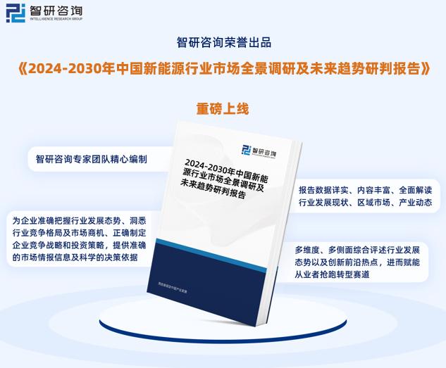 2024新奧馬新免費資料,深度解答解釋定義_nShop43.620