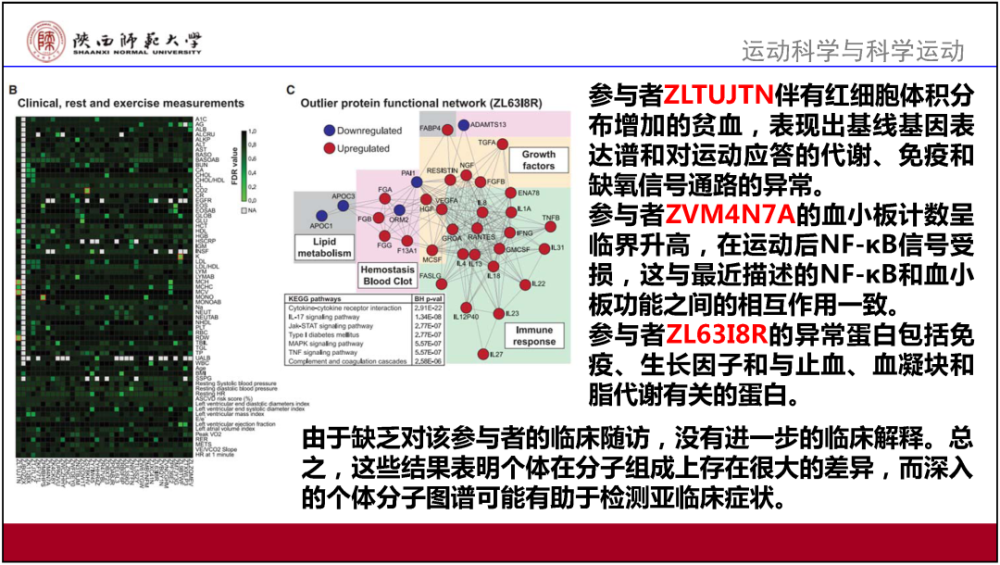 2024澳門正版精準(zhǔn)免費(fèi),決策資料解釋落實(shí)_36014.660