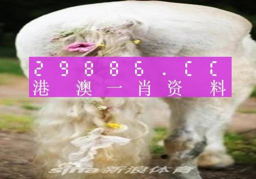 2024澳門一肖一碼100,科學(xué)基礎(chǔ)解析說明_Advance28.519