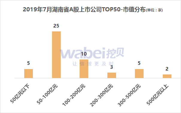 最新上市公司市值洞察，市場(chǎng)動(dòng)態(tài)與未來趨勢(shì)分析