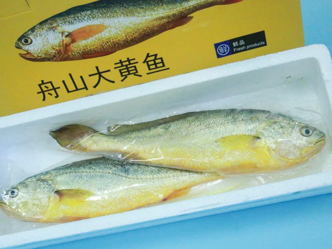 大黃魚最新價(jià)格動(dòng)態(tài)，影響因素與實(shí)時(shí)價(jià)格分析