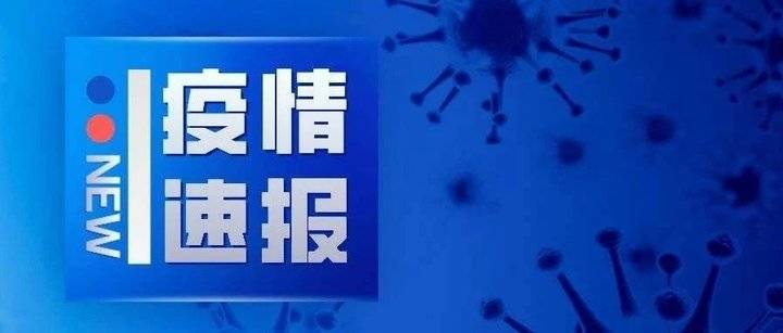 冠狀病毒疫情最新通報更新，疫情動態(tài)與防控進展