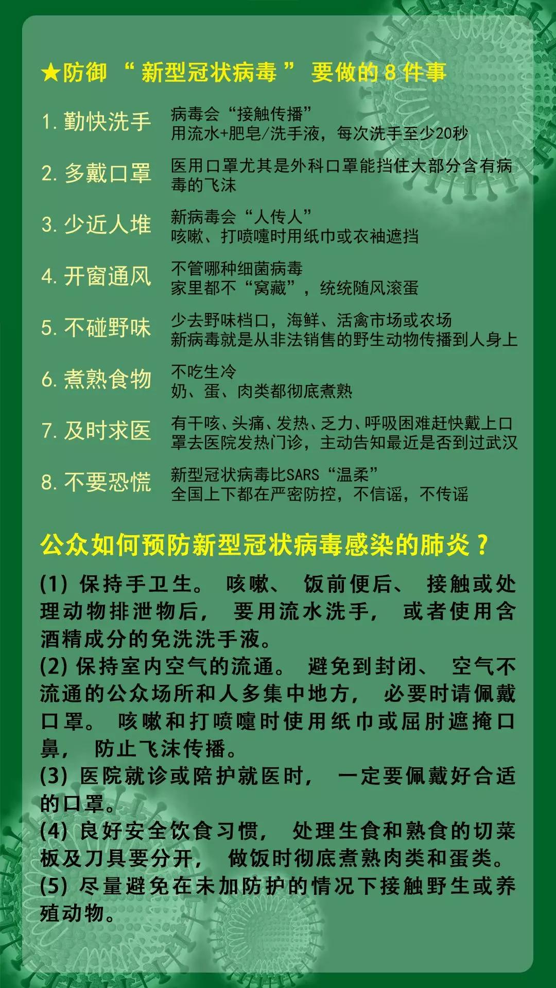 新型肺炎最新信息全面解析與動態(tài)更新