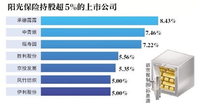 陽光保險(xiǎn)集團(tuán)股權(quán)最新動(dòng)態(tài)解析與報(bào)道