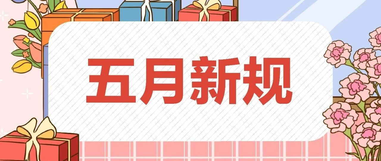 最新五個(gè)一政策引領(lǐng)的社會(huì)變革與發(fā)展趨勢(shì)分析