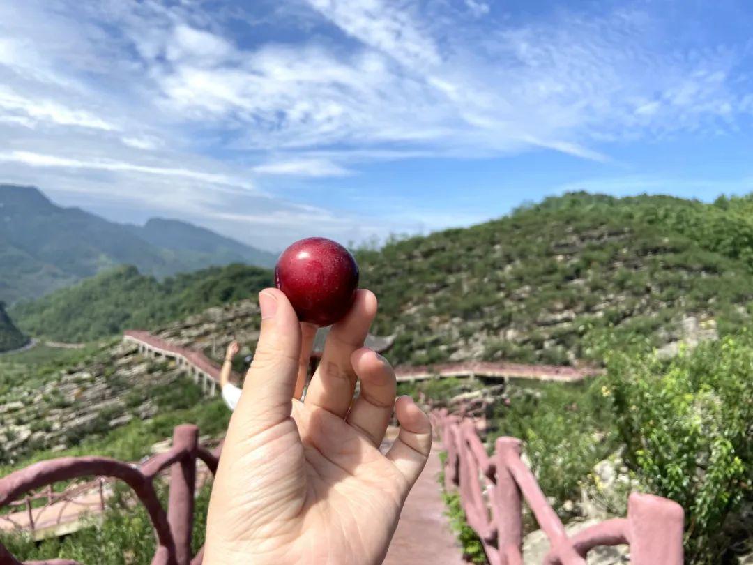 宜賓周邊游最新熱門景點推薦探秘