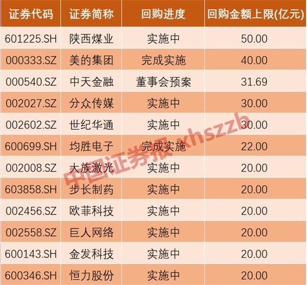 股份回購(gòu)最新數(shù)據(jù)分析，趨勢(shì)、影響及未來(lái)展望