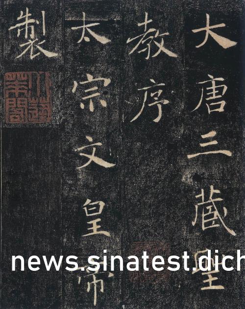 麗柜視頻最新動態(tài)，引領(lǐng)數(shù)字娛樂潮流的前沿資訊