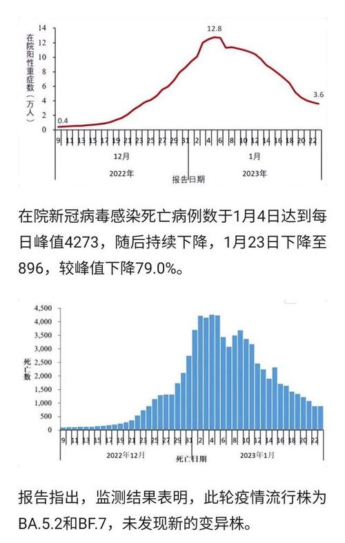 國最新疫情通報，全面應(yīng)對，共克時艱之際