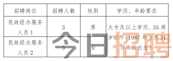 開(kāi)陽(yáng)縣人民政府辦公室最新招聘信息概覽，職位、要求與申請(qǐng)指南