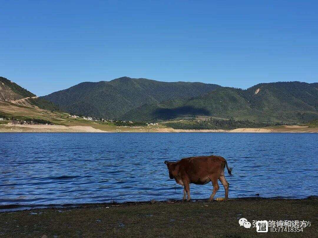 冶勒湖最新動態(tài)與魅力展現(xiàn)，最新信息與美景一覽