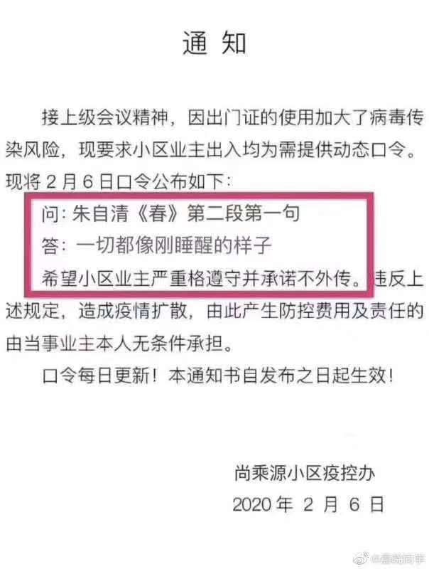 最新返城通知及其影響分析