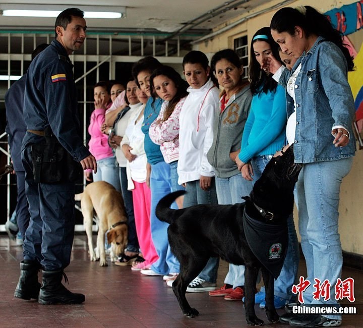 最新女子監(jiān)獄，重塑女性罪犯的未來之路之旅