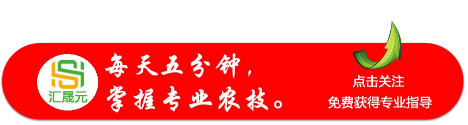 最新速查表，高效信息檢索的新工具介紹