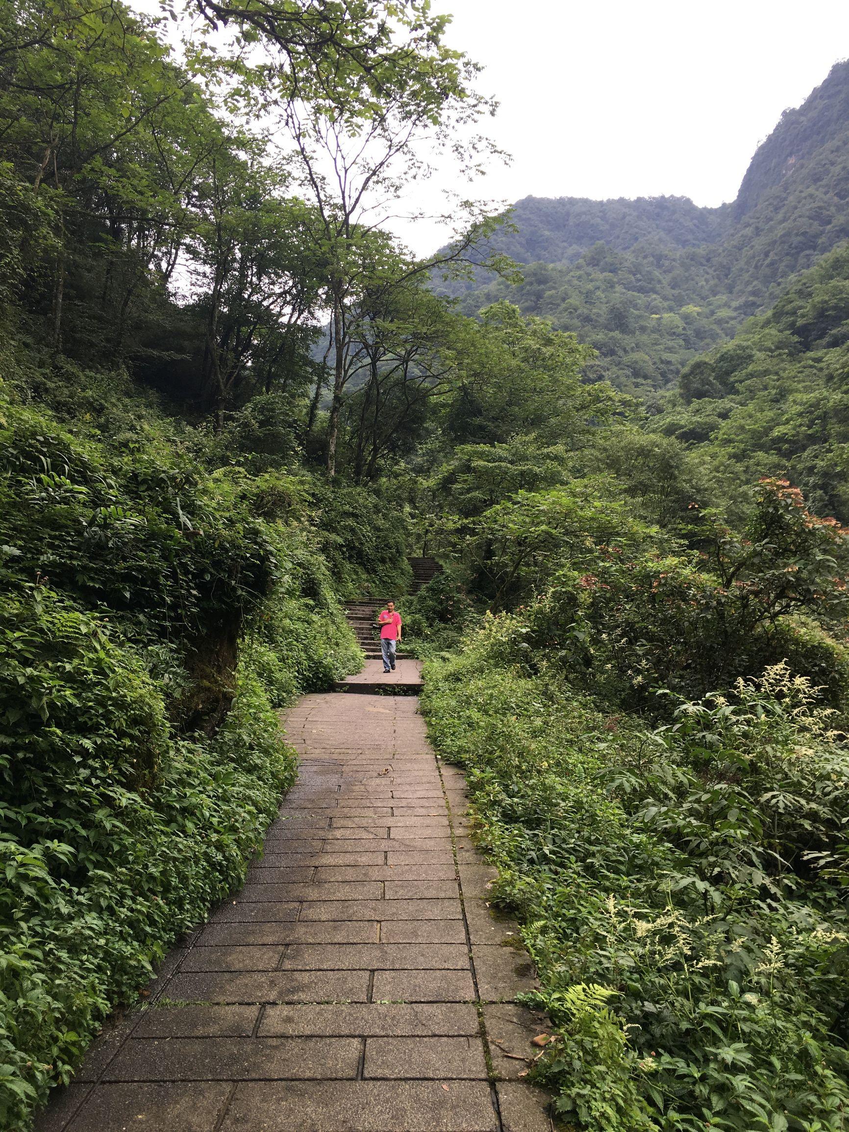 西嶺雪山最新探秘，壯美景色與獨特體驗全攻略