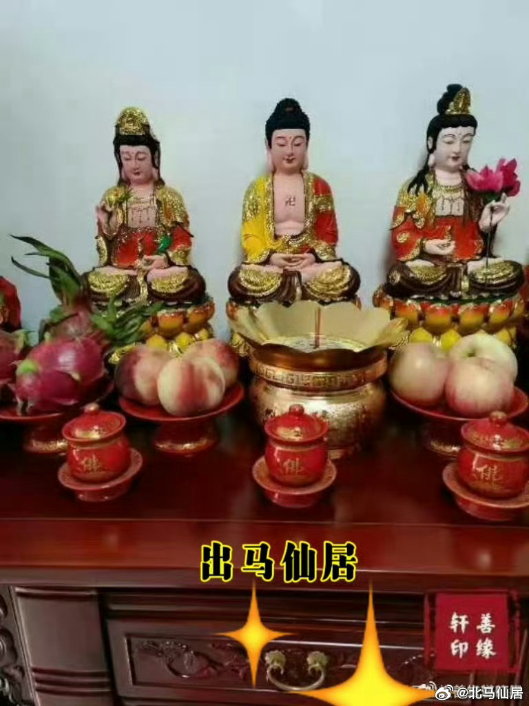 出馬閣主最新動(dòng)態(tài)揭秘，展現(xiàn)新篇章，揭開(kāi)神秘面紗